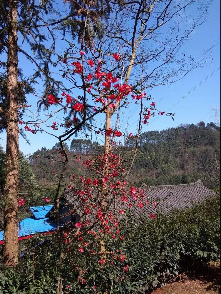 微信图片_20200902104223.jpg