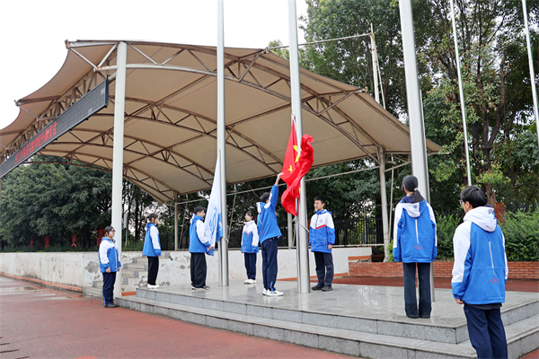 1773385602239256.jpg 1.JPG